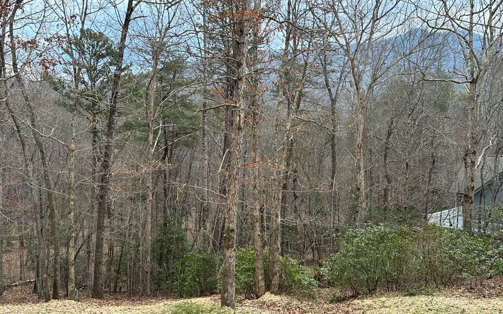 Lot 59 Asheland Cove Dr, Young Harris, GA 30582 MLS 217361 Trulia