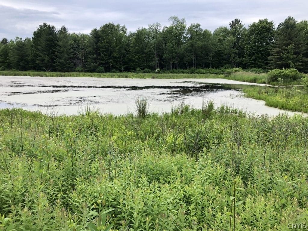 8335 State Route 19, Belfast, NY 14711 Trulia