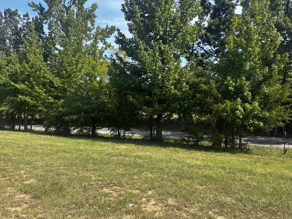 Photo 33 of 