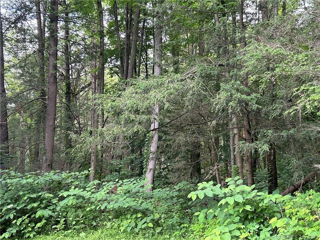 Clearview Ave, Harwinton, CT 06791 Trulia