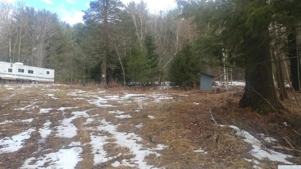 56 County Route 56, Maplecrest, NY 12454 Trulia