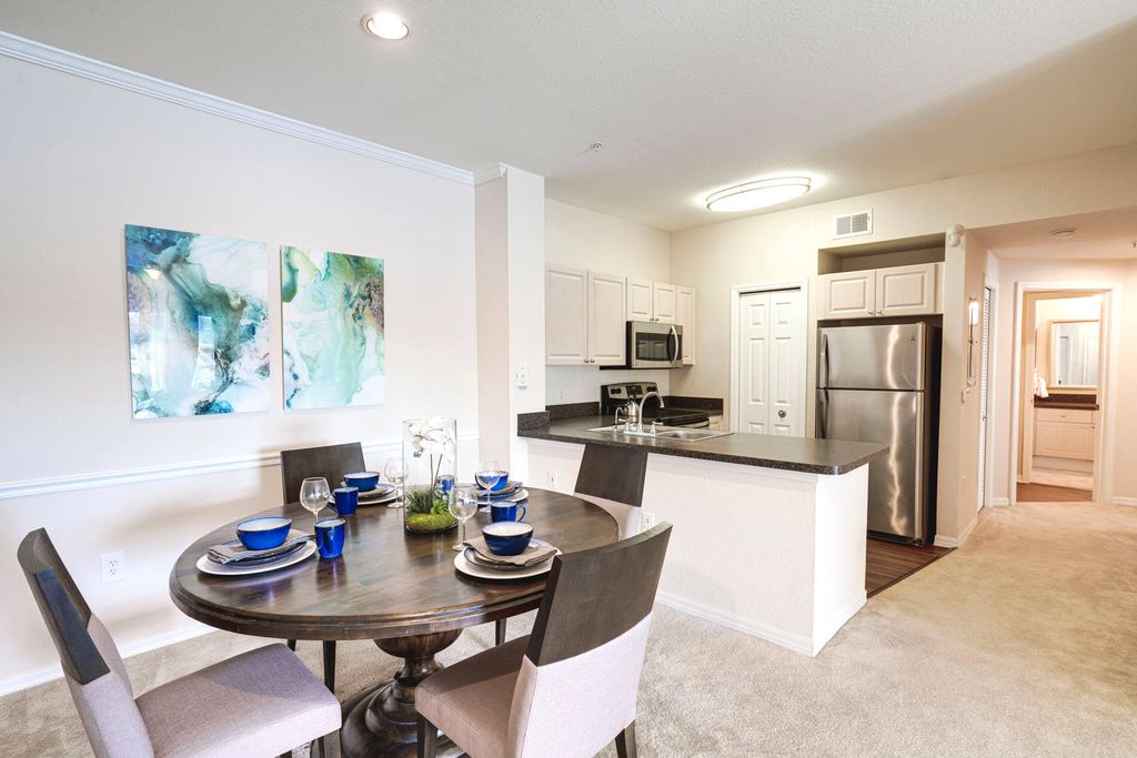 10328 Venitia Real Ave, Tampa, FL 33647