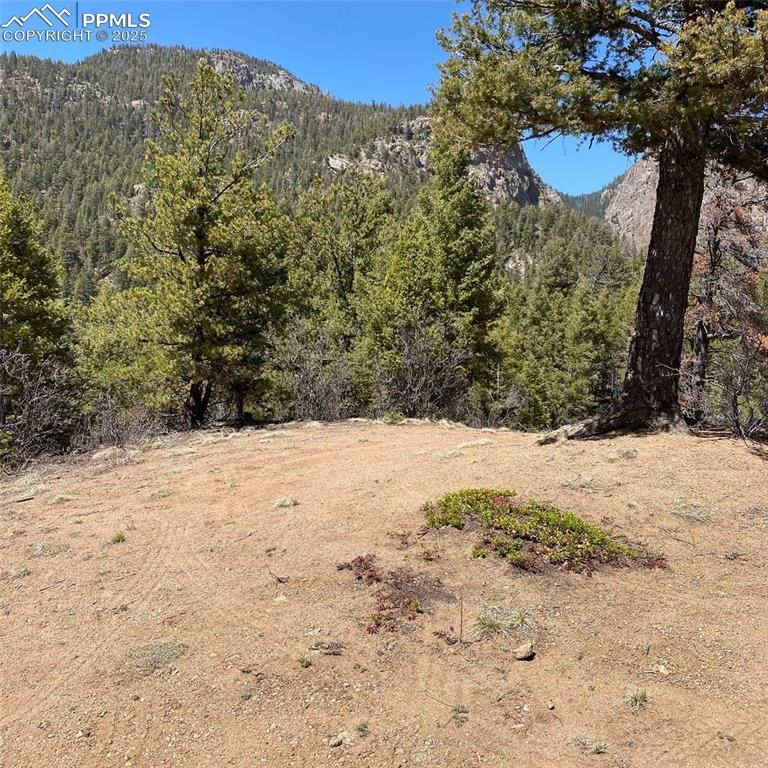 Little Turkey Creek Rd, Colorado Springs, CO 80926