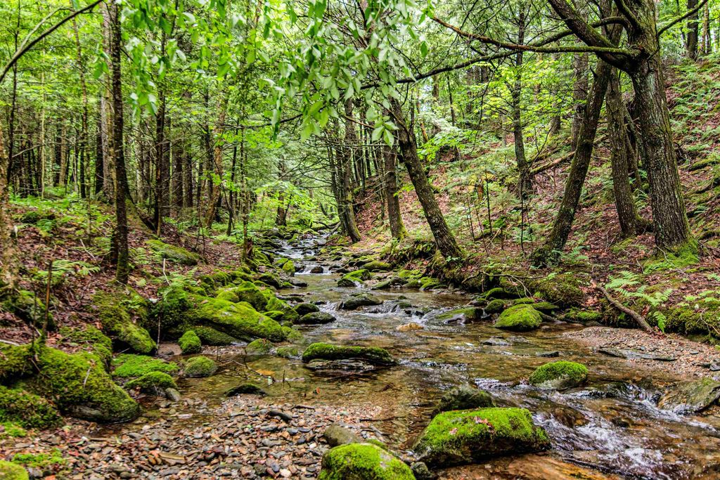 20 Waughbrook Lane, Underhill, VT 05489 Trulia