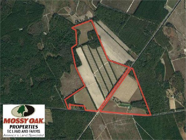 7622 Ashton Rd, Islandton, SC 29929