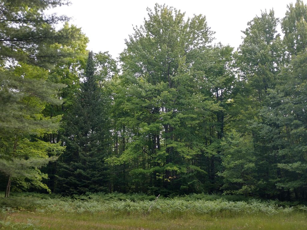 2334 Mont Gabriel Rd, Wolverine, MI 49799 Trulia