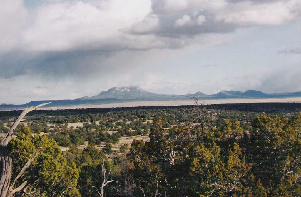 Omega County Rd 140, Quemado, NM 87829 Trulia