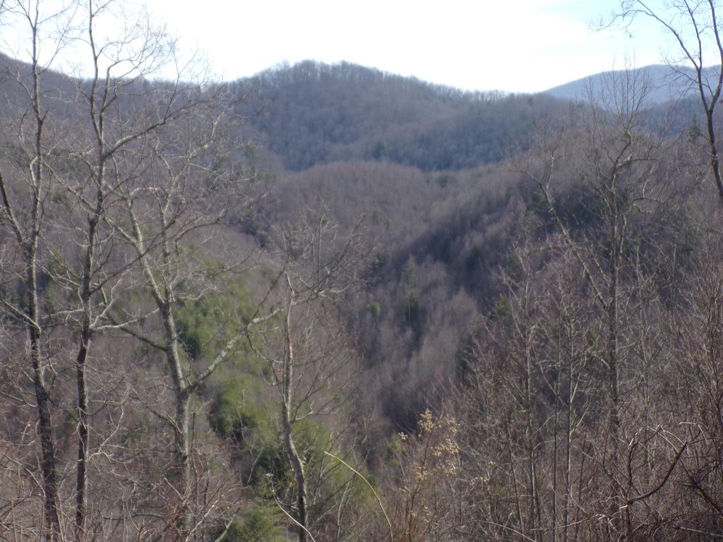 Greer Branch Rd, Laurel Bloomery, TN 37680 Trulia