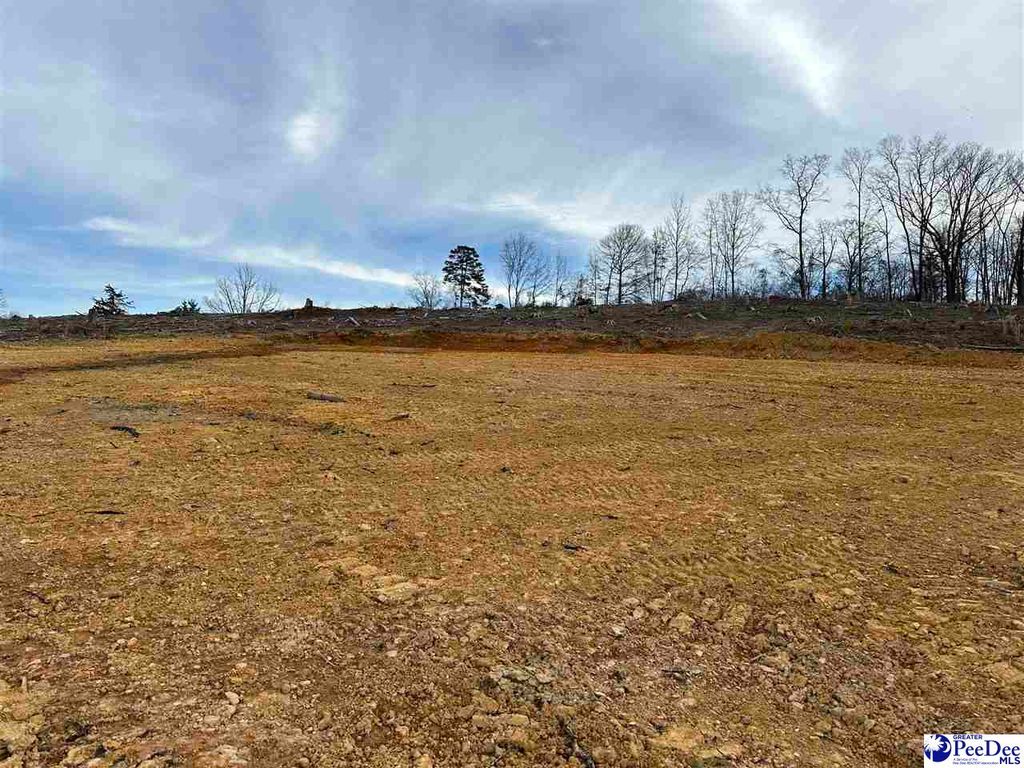 2.50 Ac Tract Green St, Chesterfield, SC 29709