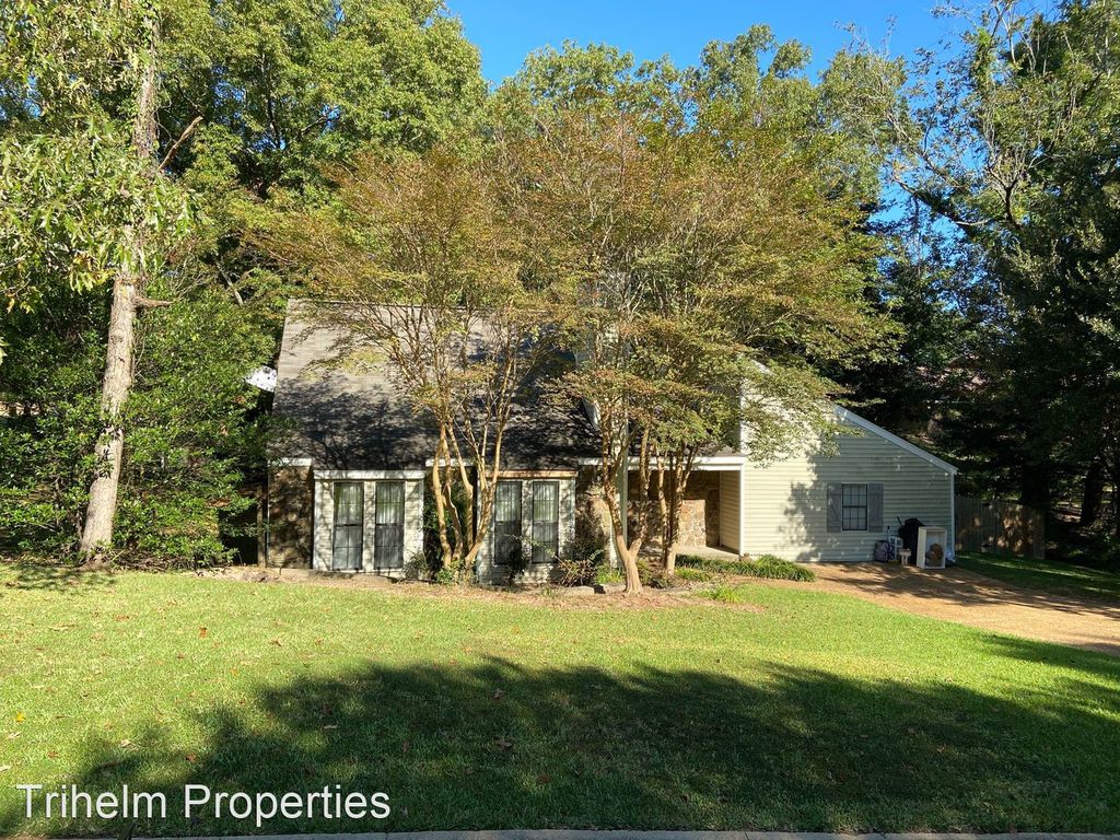 200 Stone Castle Ct, Brandon, MS 39047
