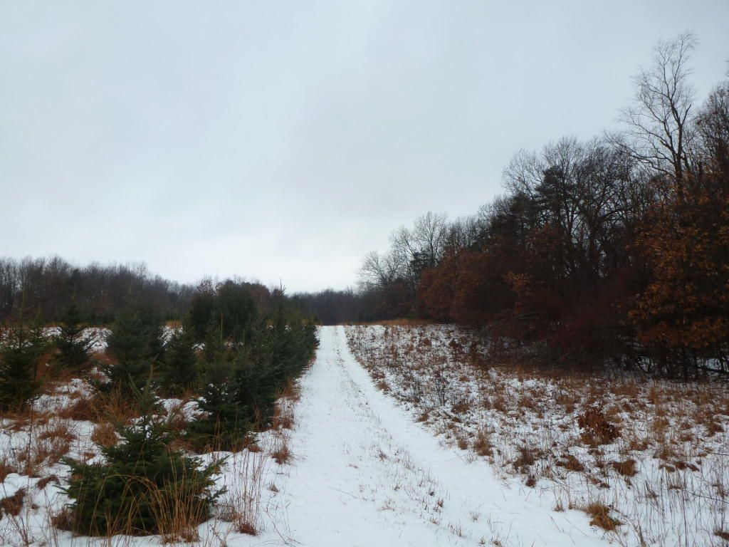 Fawn Riv, Sturgis, MI 49091 Trulia