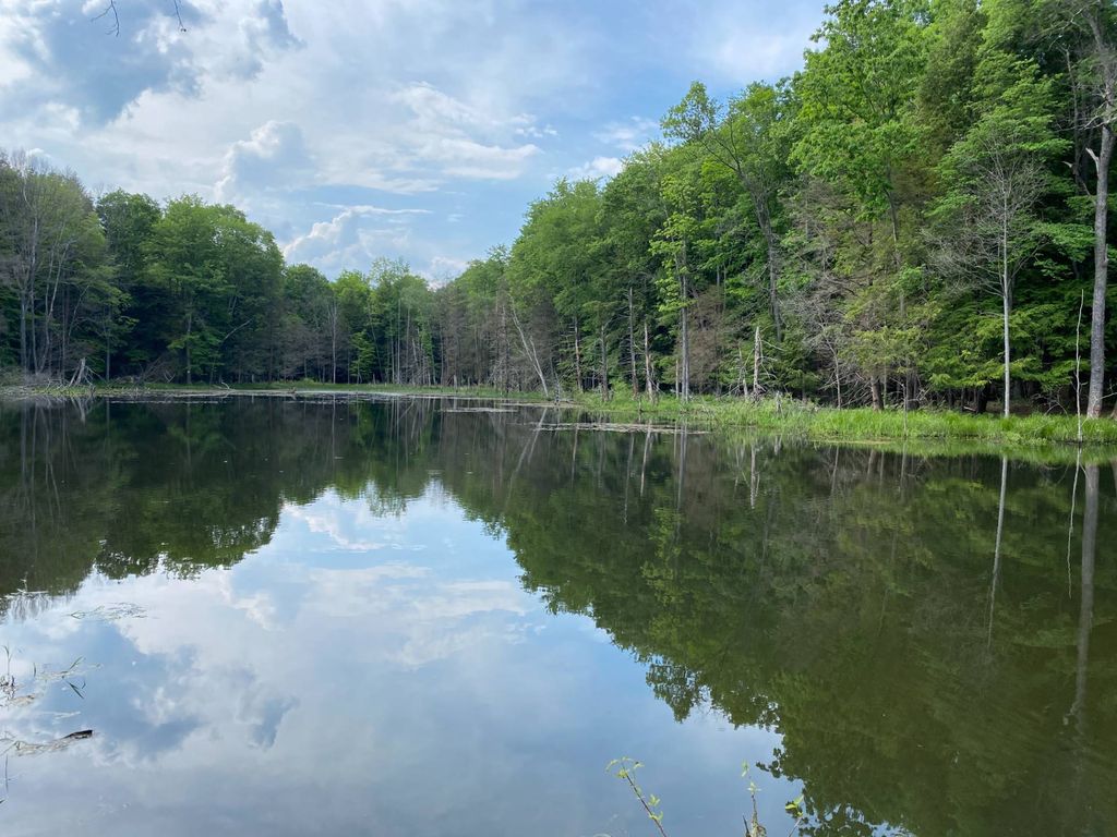 Beaver Valley Rd WP001, Fallentimber, PA 16639 Trulia