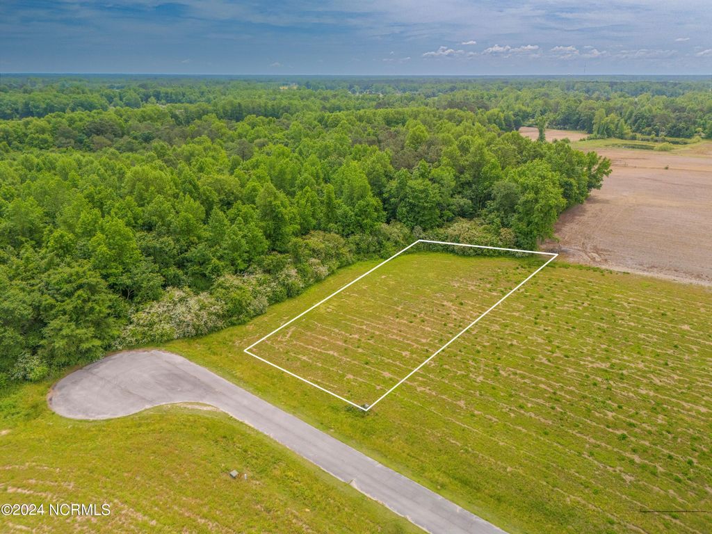 134 Sand Ridge Drive, Beulaville, NC 28518 MLS 100464469 Trulia