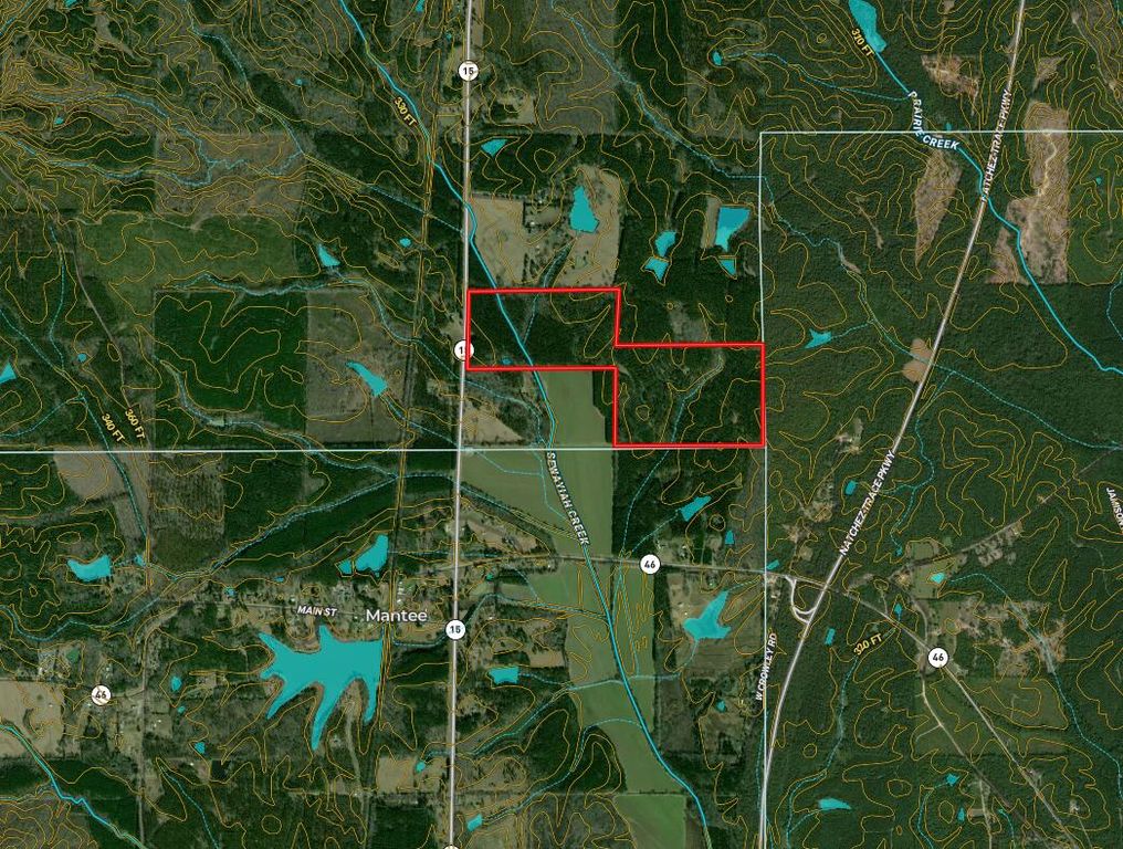 State Highway 15, Mantee, MS 39751 Lot/Land for Sale MLS 24561