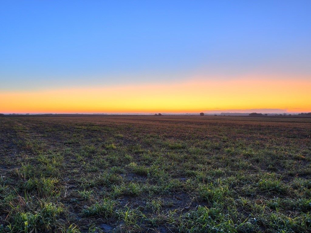 1249 Sunrise Vista Dr, Thorndale, TX 76577 Trulia