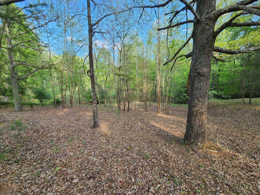 14 Bailey Blvd, Hardy, VA 24101 Trulia