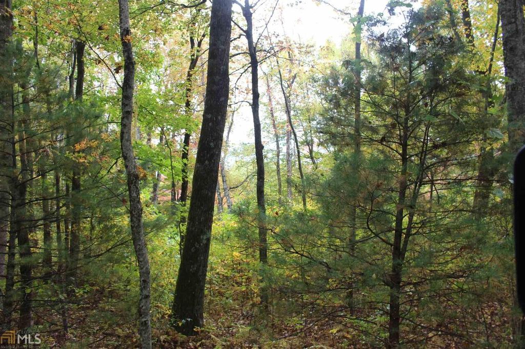 Snyder Ln, Dillard, GA 30537 Trulia