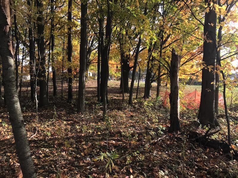 S Kingston Rd, Clifford, MI 48727 Trulia