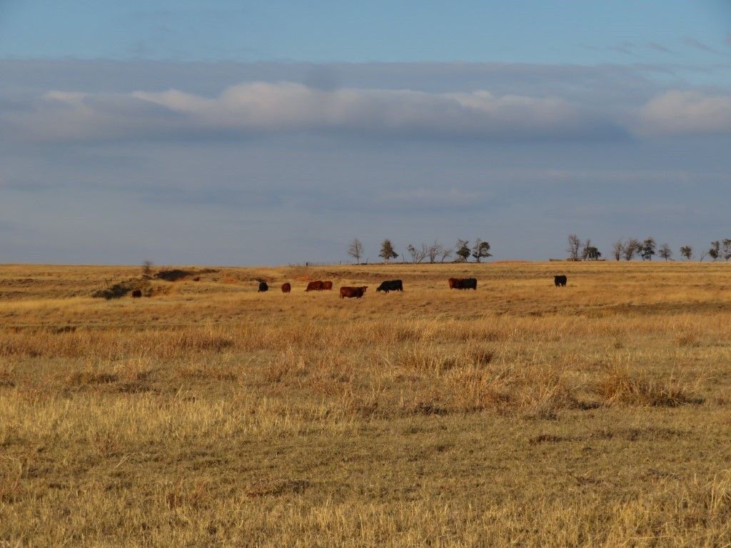 Rural Butler, Butler, OK 73625 Trulia