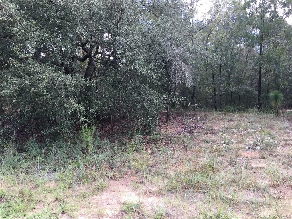 11325 N Nora Way, Citrus Springs, FL 34434 Trulia