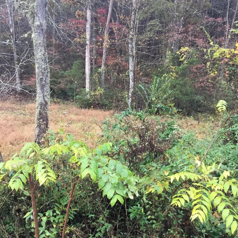 Paul Cooper Rd, Whittier, NC 28789 Trulia