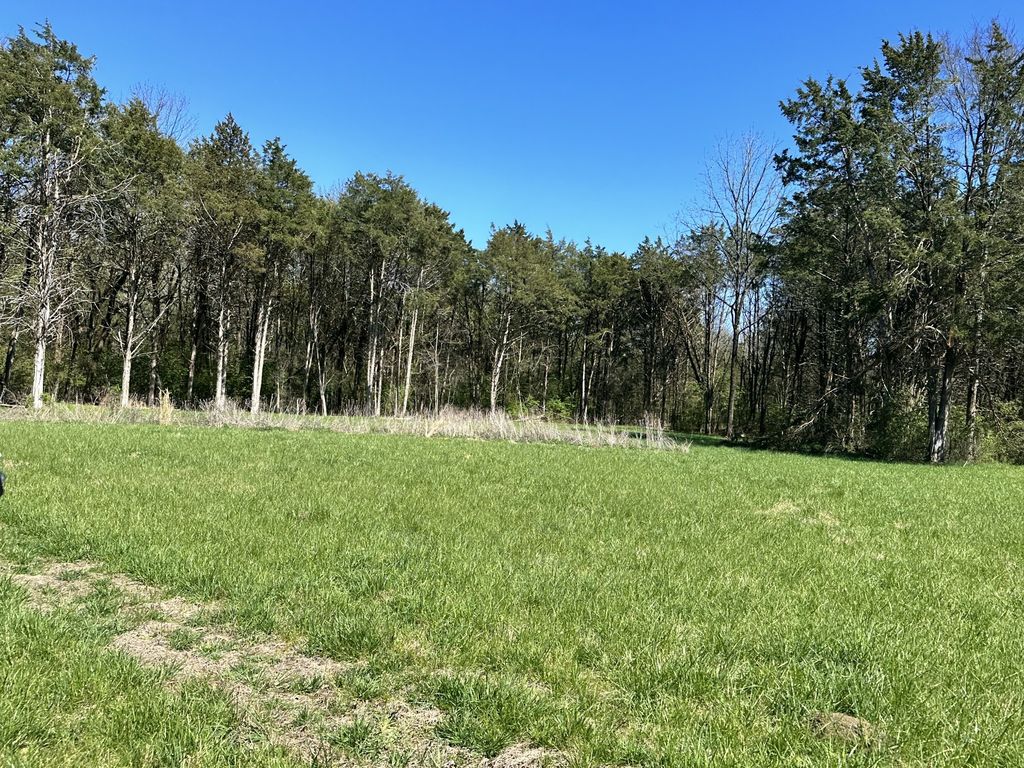 Newman Rd, Rockvale, TN 37153 Trulia