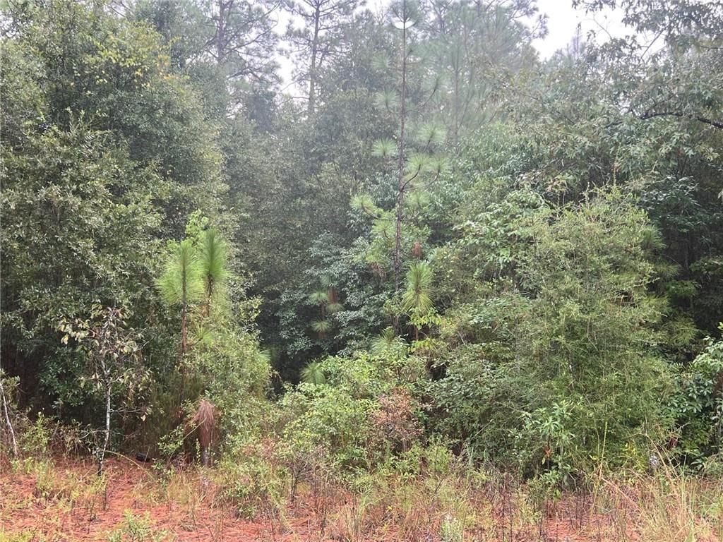 7574 Kali Oka Rd, Saraland, AL 36571 Trulia