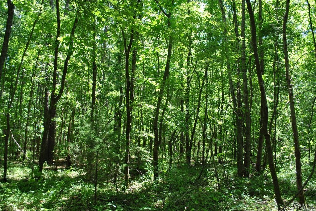 Black Warrior Bay, Akron, AL 35441 Trulia