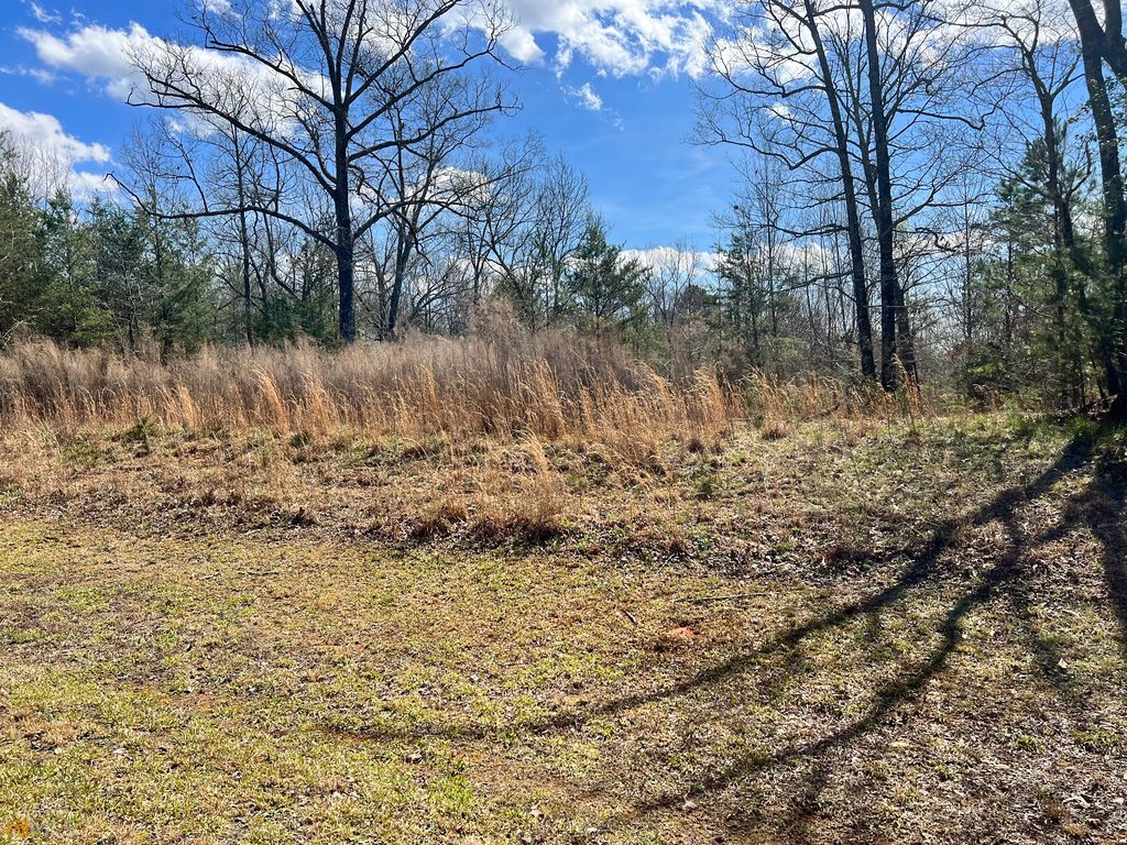 Lot 33 Kissimmee Trl, Cornelia, GA 30531 MLS 10145288 Trulia