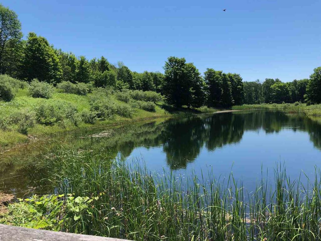 Old Orchard Trl, Charlevoix, MI 49720 Trulia