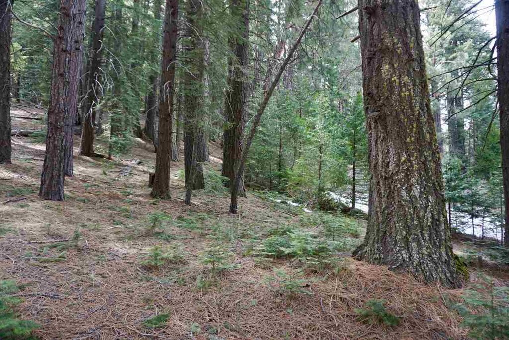 6 Pine Tree Ct   #2, Blairsden Graeagle, CA 96103