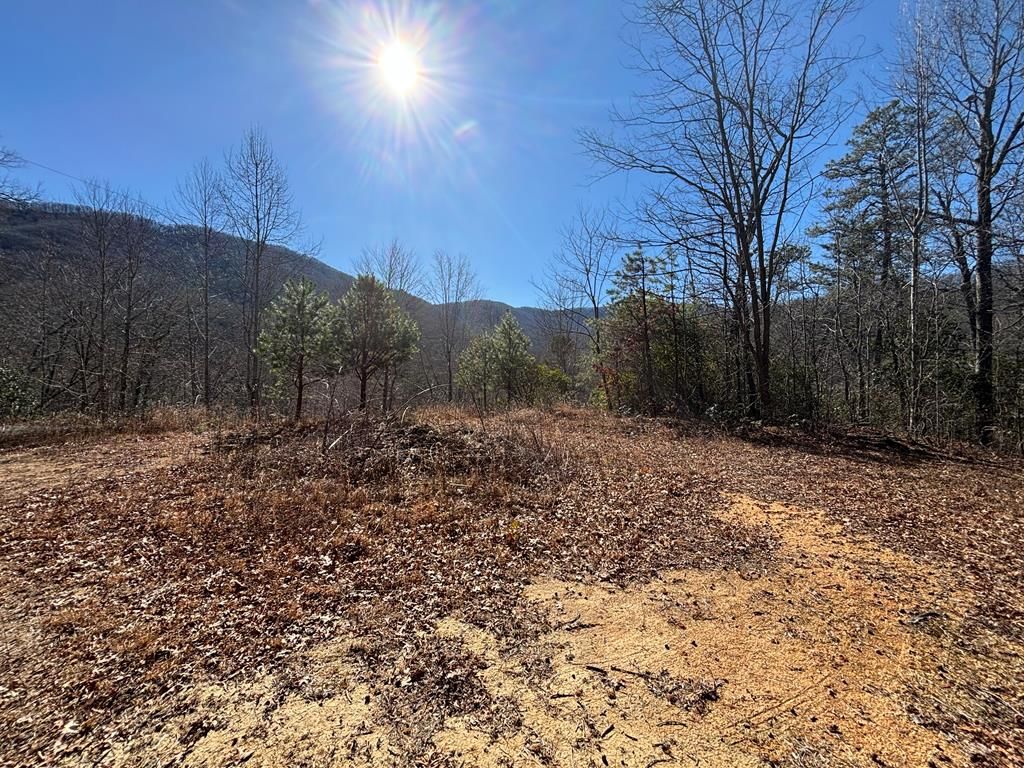 4 Gardners Cv, Whittier, NC 28789 Trulia