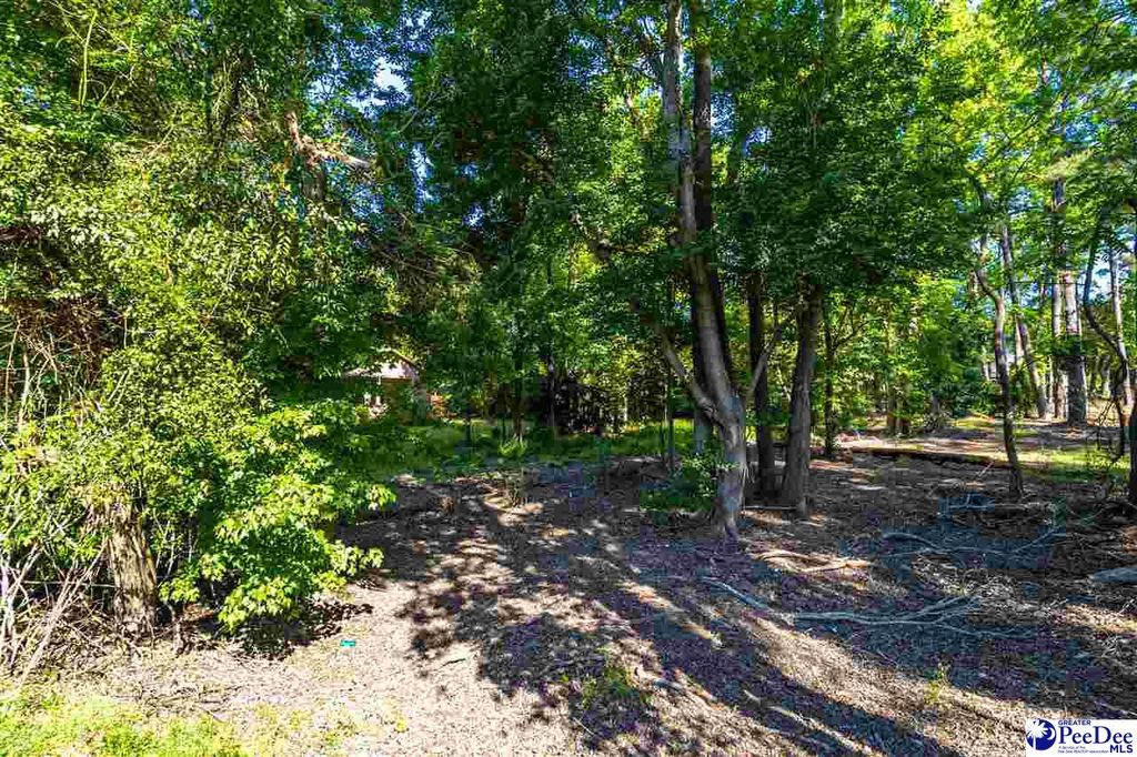 3221 W Forest Lake Dr, Florence, SC 29501 MLS 20231346 Trulia