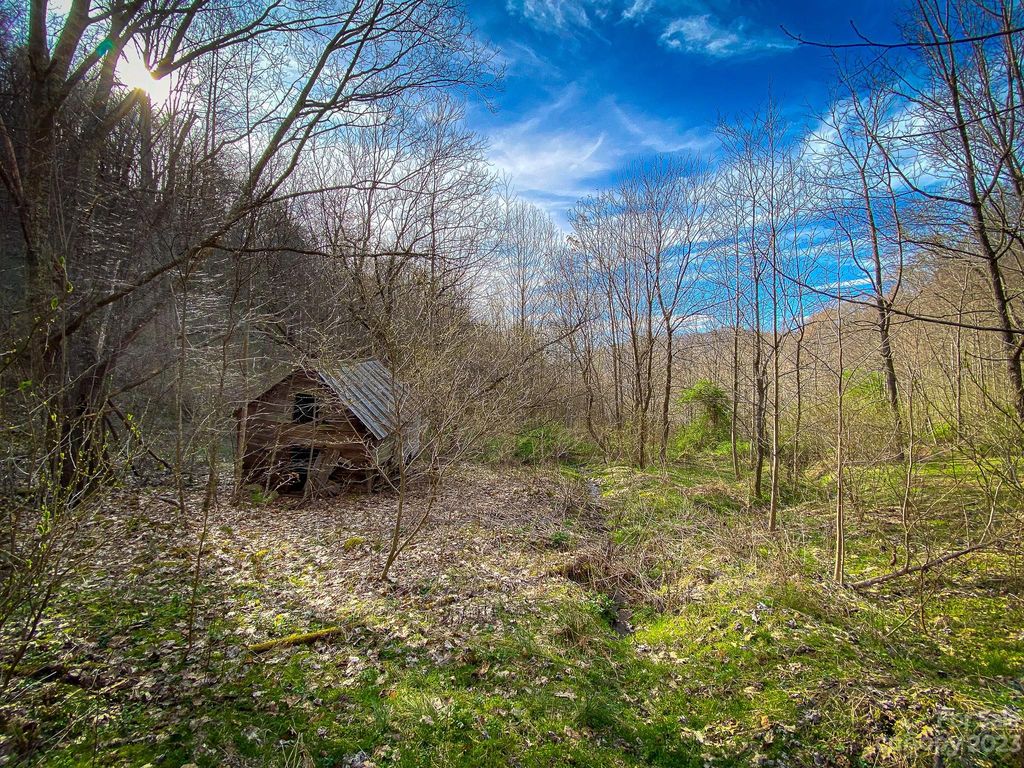 99999 Metcalf Creek Loop, Mars Hill, NC 28754 MLS 4092103 Trulia