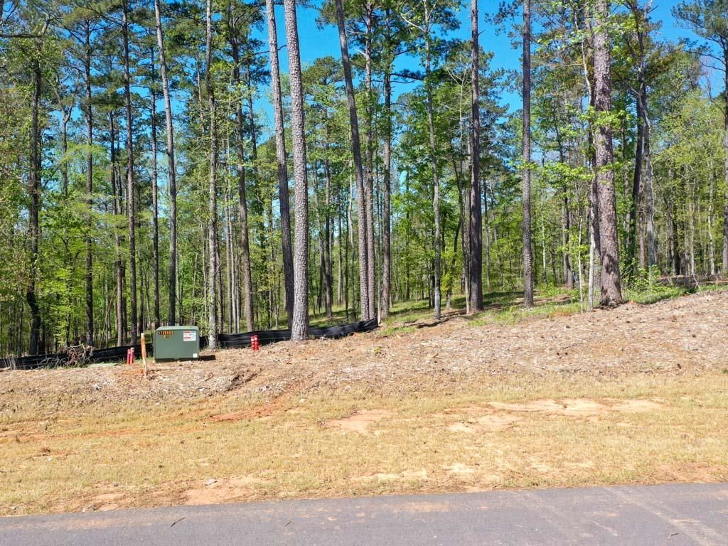 1061 Broadpoint Dr, Greensboro, GA 30642