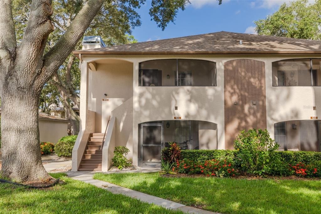 3008 Bonaventure Cir #203, Palm Harbor, FL 34684
