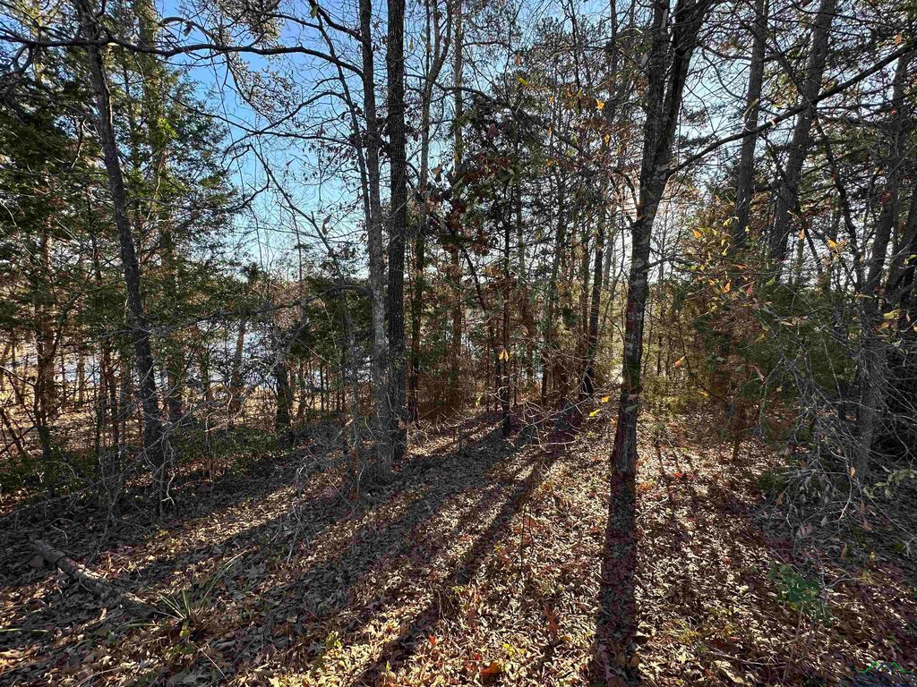 Lot 1 Deerwood Dr, Harleton, TX 75651 MLS 20230210 Trulia