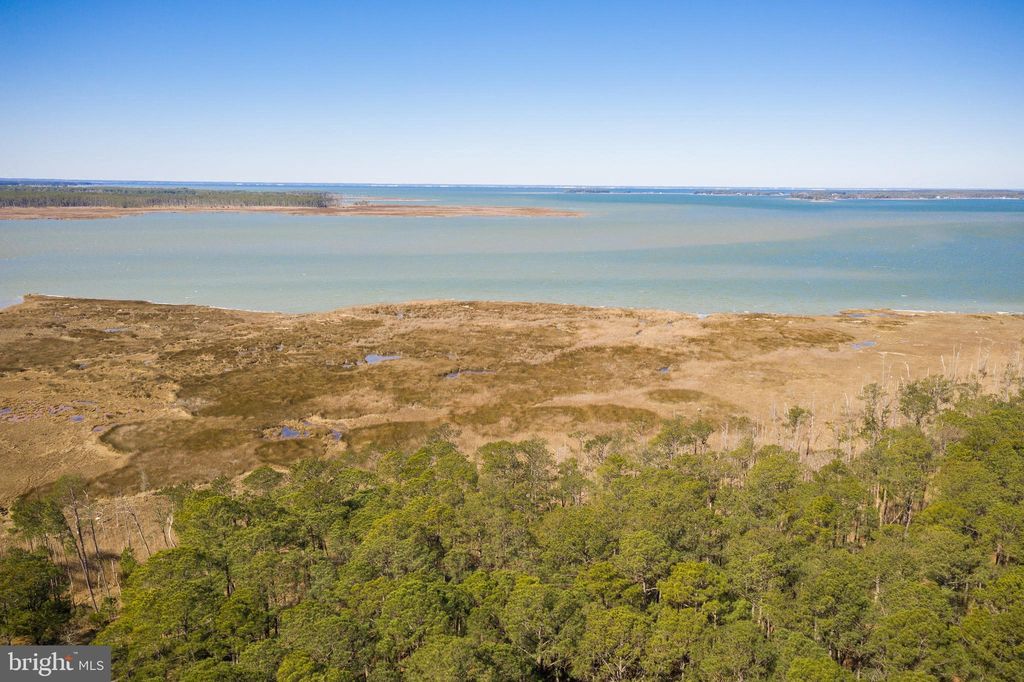 4926 Timbermarsh Ln, Woolford, MD 21677 Lot/Land for Sale MLS