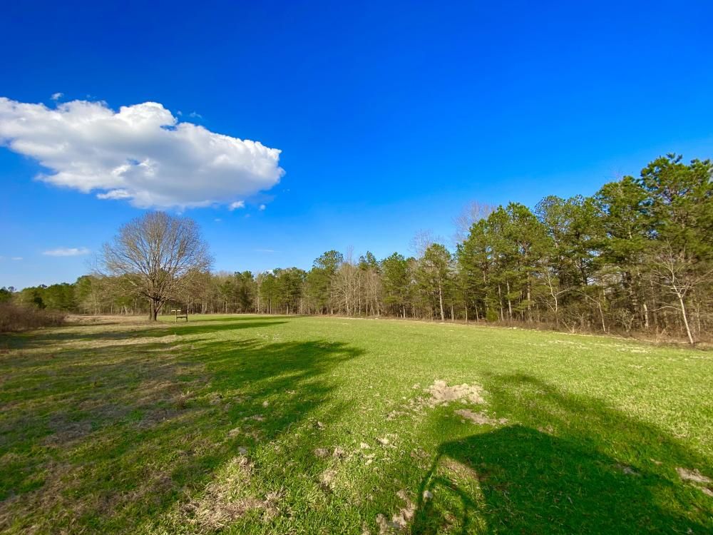 Dry Creek Rd, Clayton, AL 36016 Trulia
