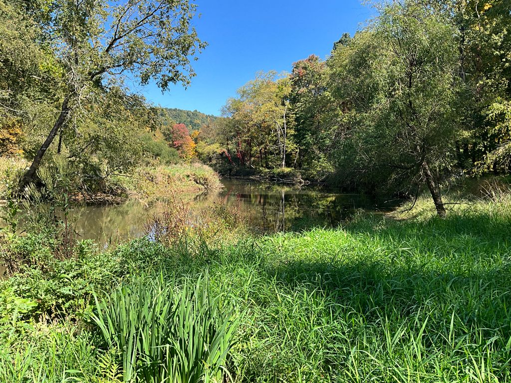 Route 36 WP003, Westover, PA 16692 Trulia