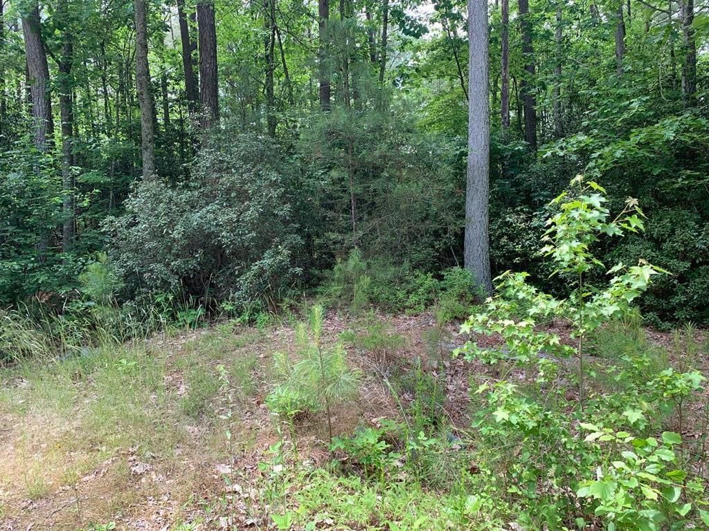 Holly Spring Rd, Heathsville, VA 22473 Trulia