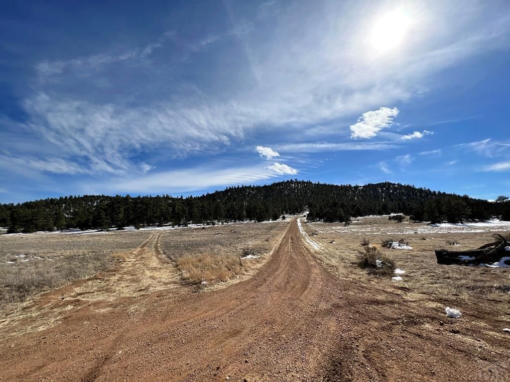 1038 Texas Creek Ln 5, Cotopaxi, CO 81223 MLS 211016 Trulia