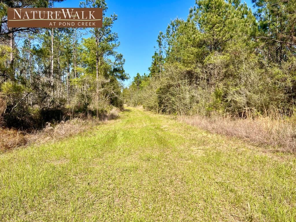 Lot 30 Pine Preserve Ln, Milton, FL 32571 Trulia