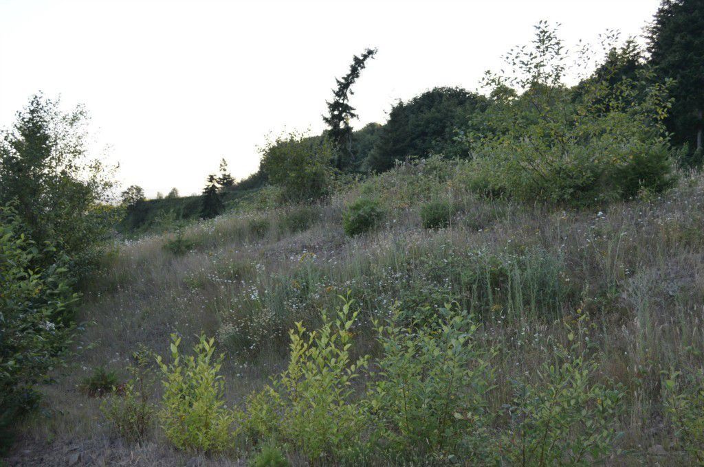 66 Windy River Rd, Kalama, WA 98625 Trulia