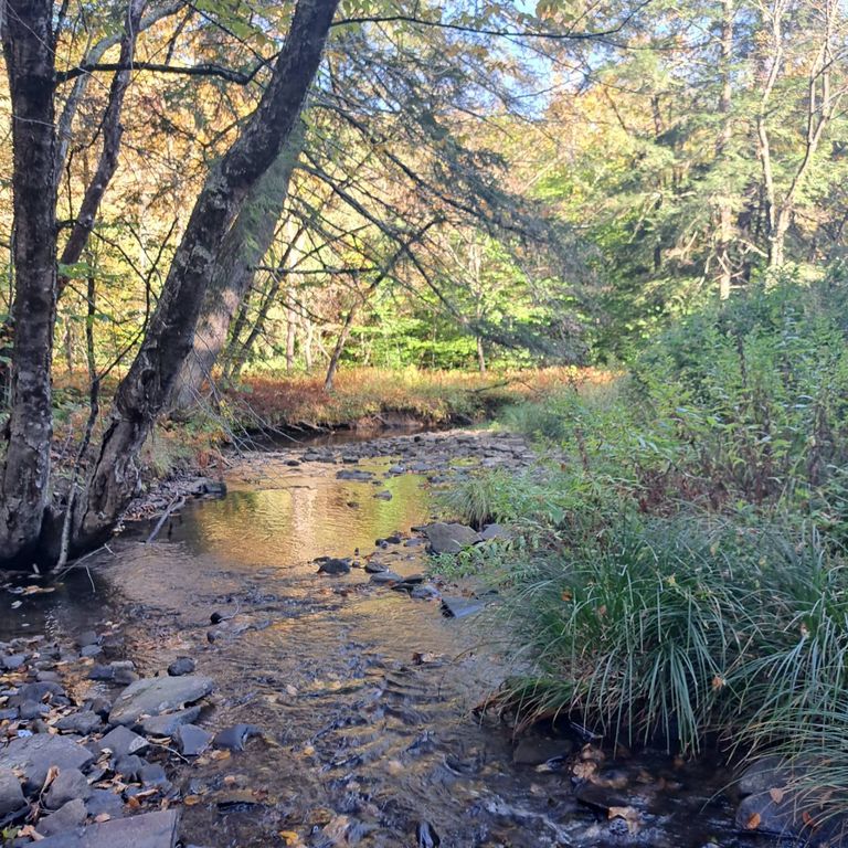 646 Elk Fork Rd WP001, Emporium, PA 15834 SingleFamily Home for Sale