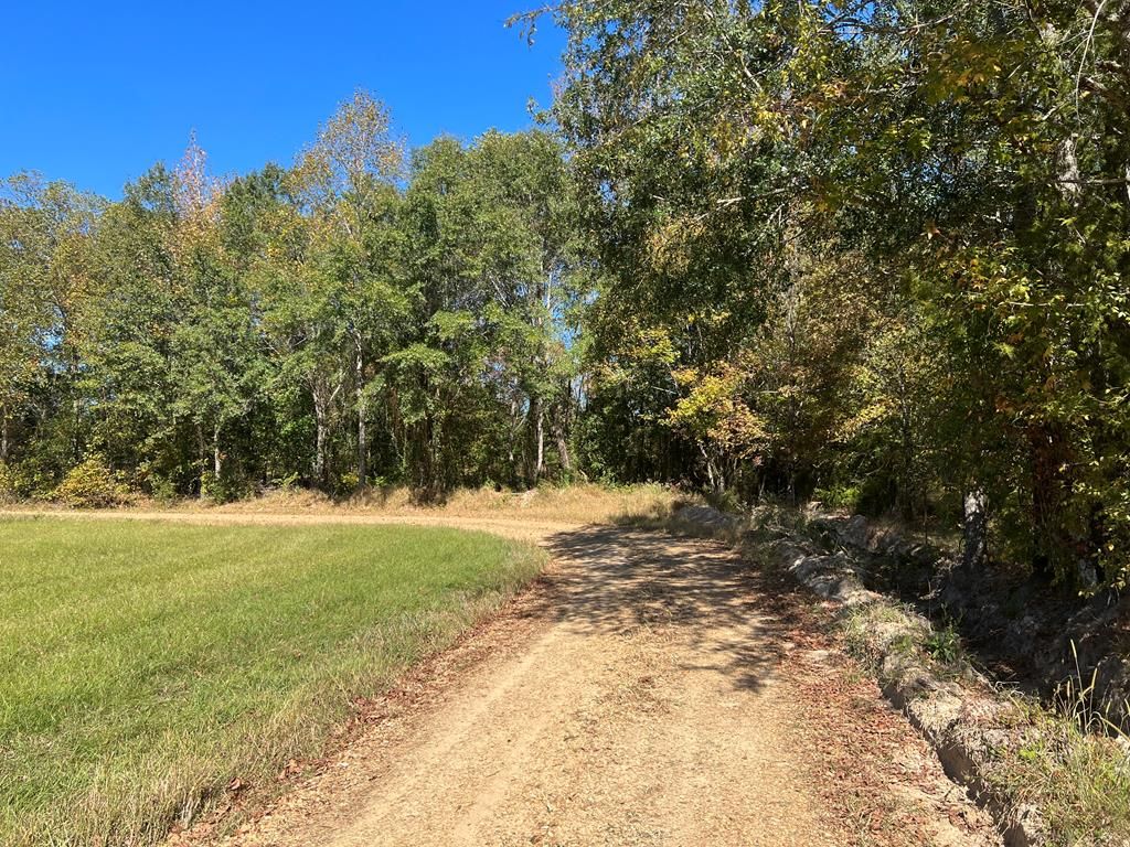 508 County Road 284A, Water Valley, MS 38965 Trulia