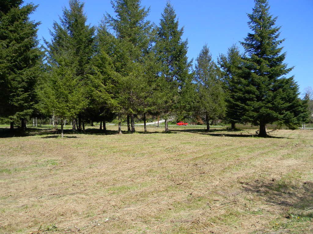 NE Old Belfair Hwy, Belfair, WA 98528 Trulia