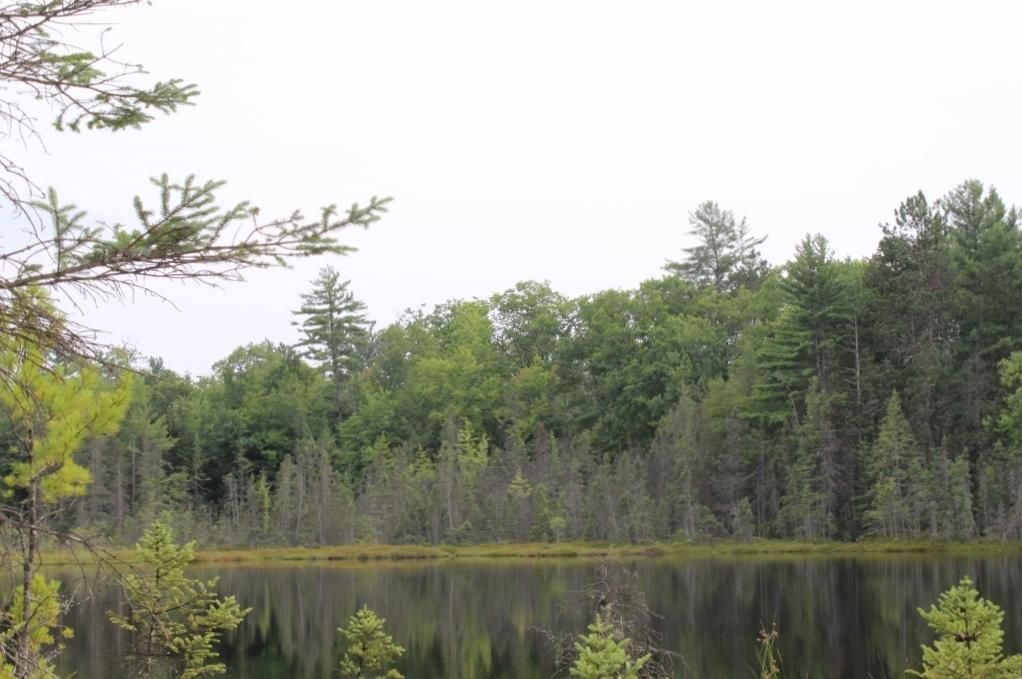 Brlnd Lake Evelands Way 11, Elcho, WI 54428 Trulia