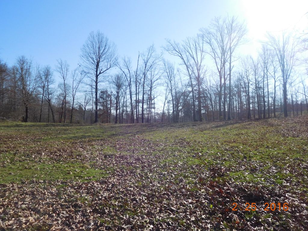 West Pointe Subdivision, Lexington, TN 38351 Trulia