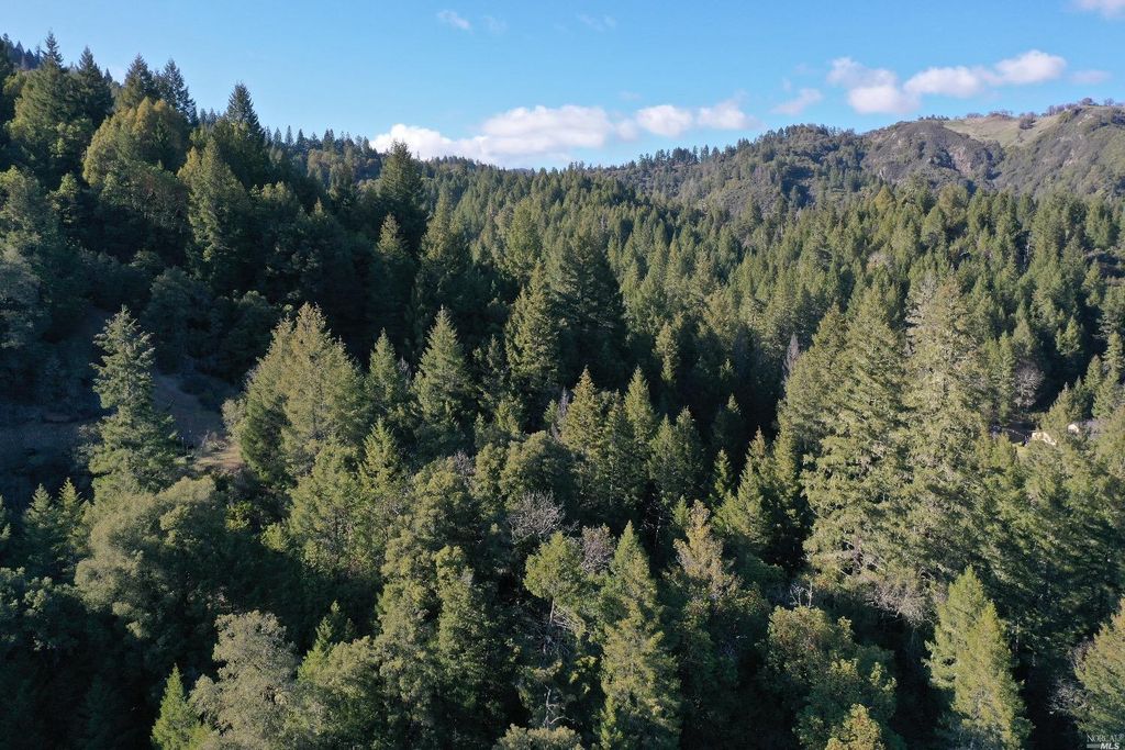 2900 Woodman Creek Rd, Laytonville, CA 95454 MLS 323022157 Trulia